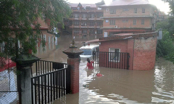 11953112_1160521480642194_5